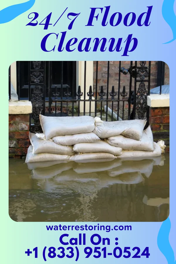 24/7 Flood Cleanup in Dresser, IN