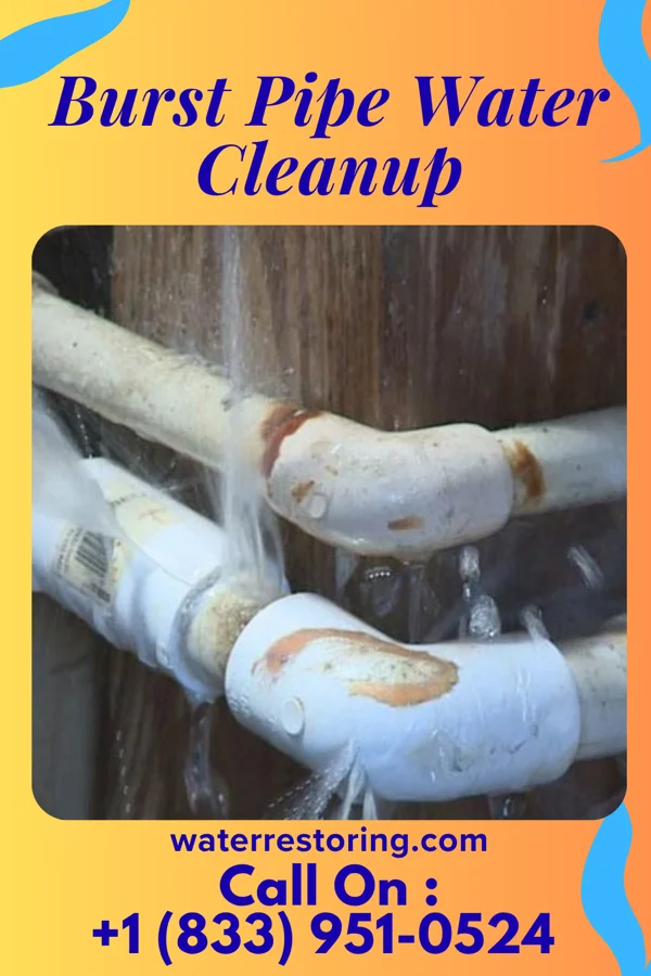 Burst Pipe Water Cleanup in Dresser, IN