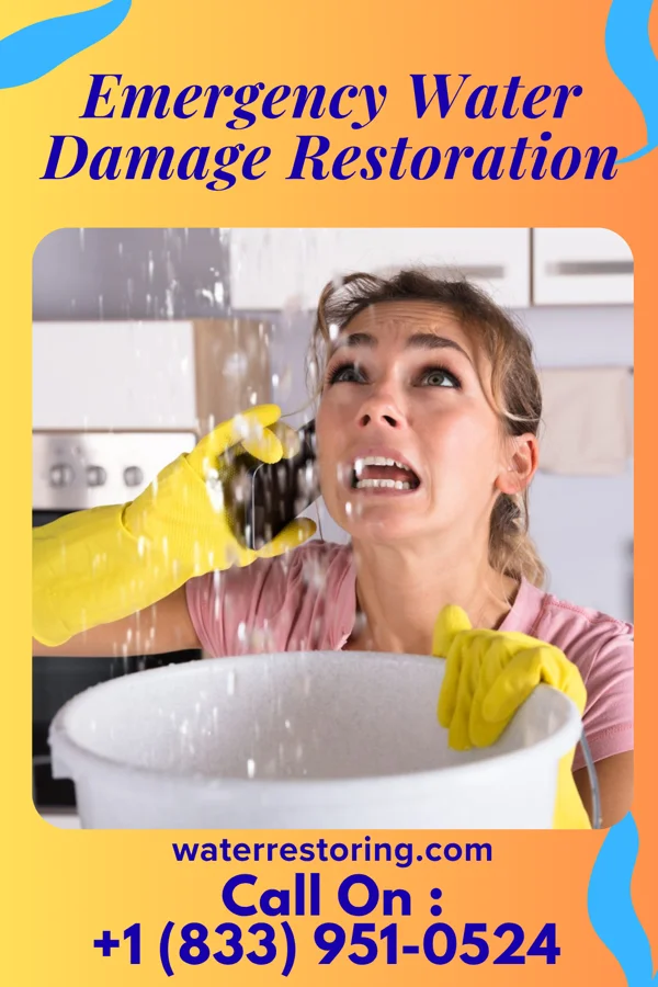 Emergency Water Damage Restoration in Dresser, IN