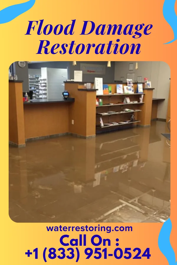 Flood Damage Restoration in Dresser, IN