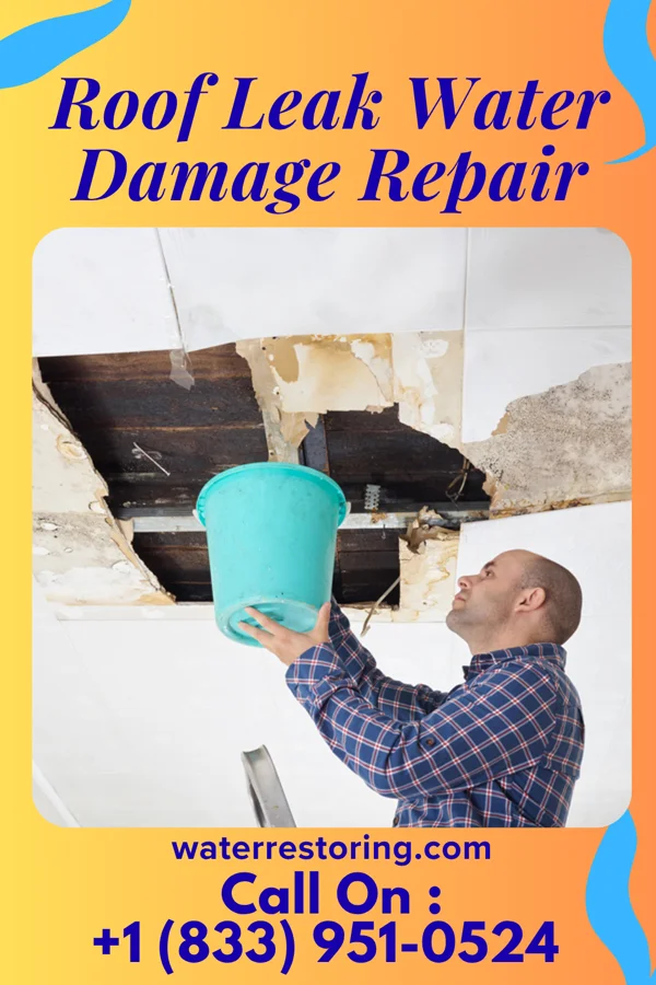 Roof Leak Water Damage Repair in Dresser, IN
