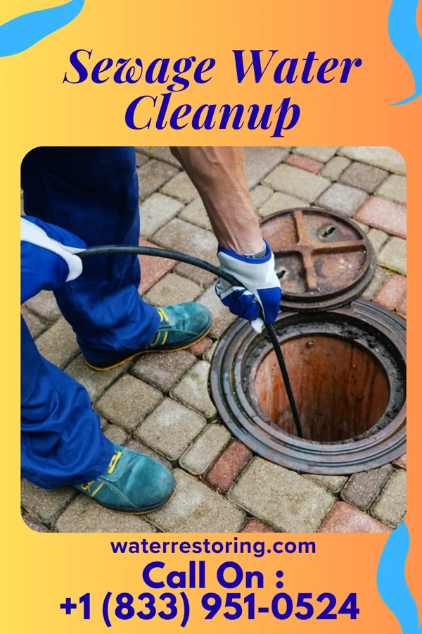 Sewage Water Cleanup in Dresser, IN
